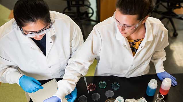 FGCU Graduate Researchers