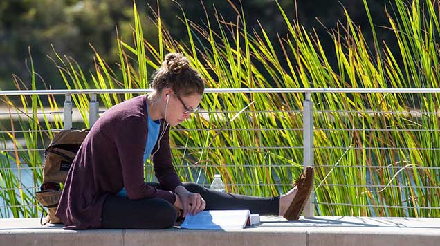 Student studying