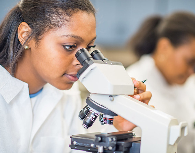 Student studying a microscope