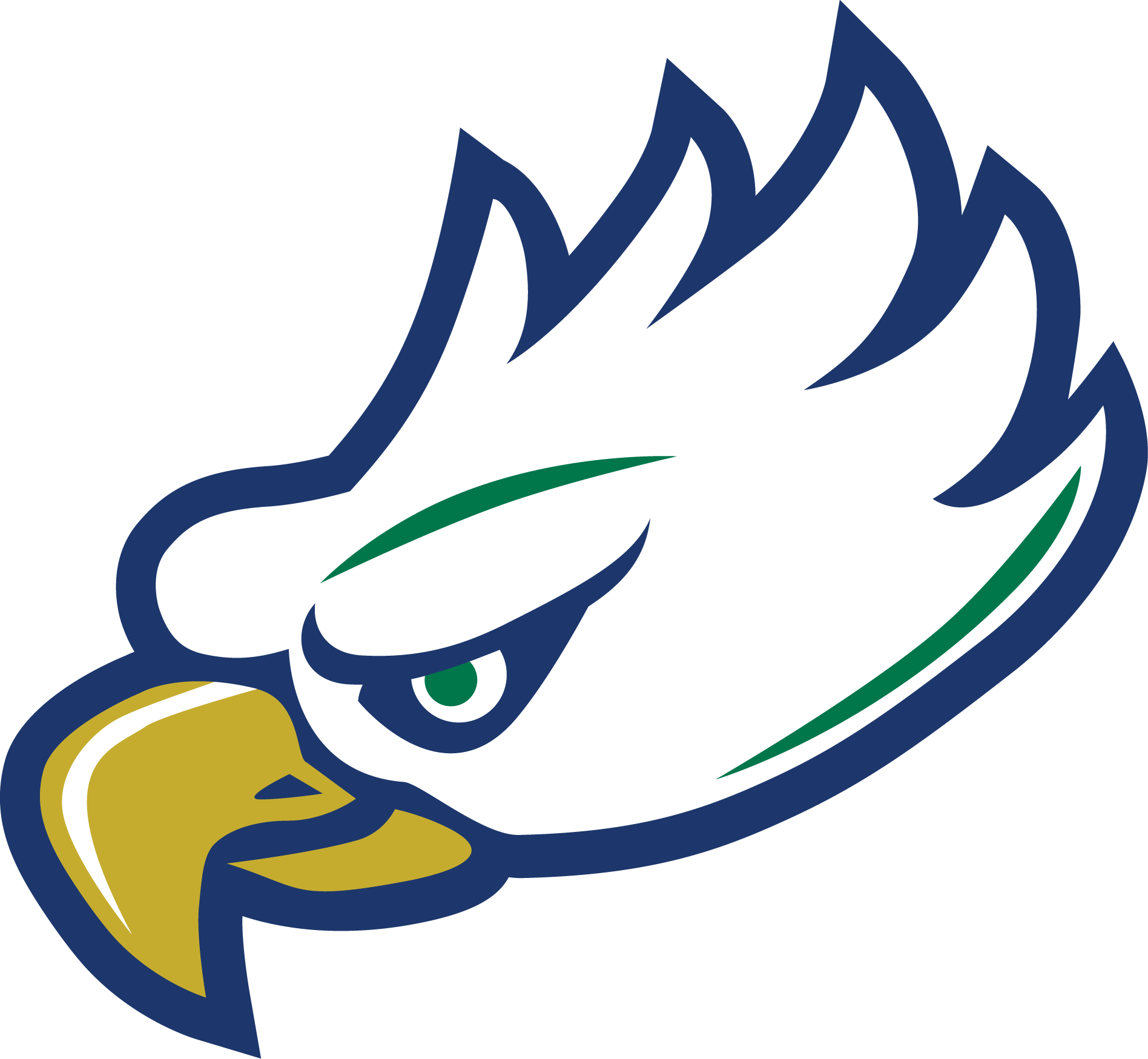 FGCU Athletic Logo