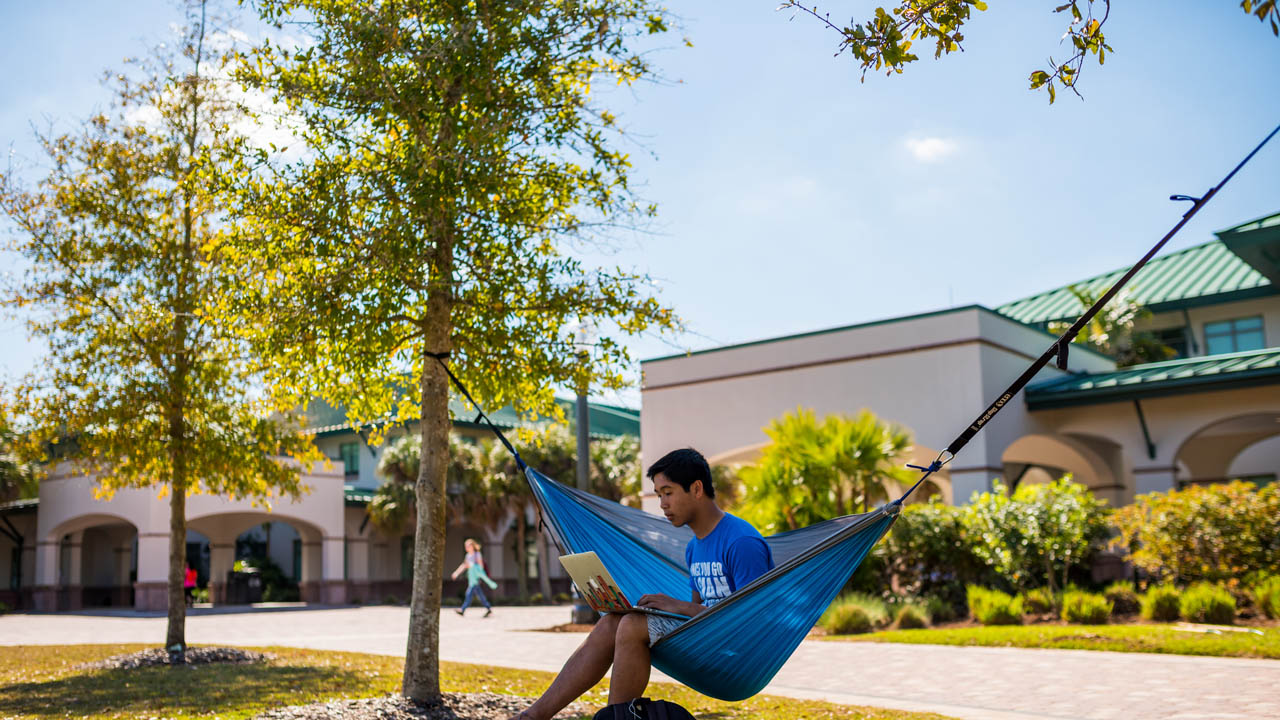 lawn_hammock