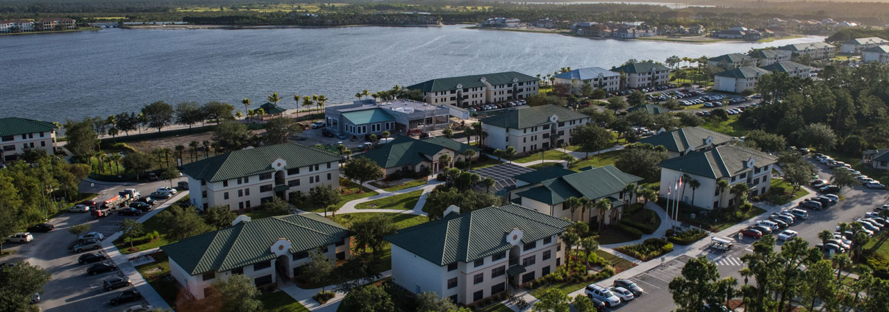 Freshmanftic Aerial Photo Of Fgcu Lakefront Essay Helper also American Dream Essay Thesis Write Book Online