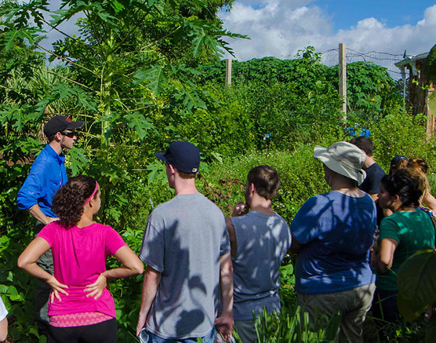 Arlo leading a tour - Food Forest