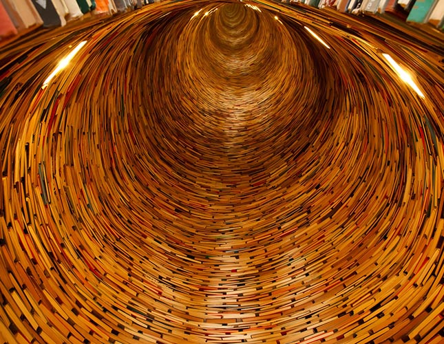 Thesis books