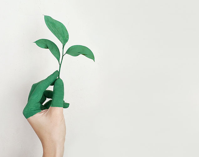 Sustainability