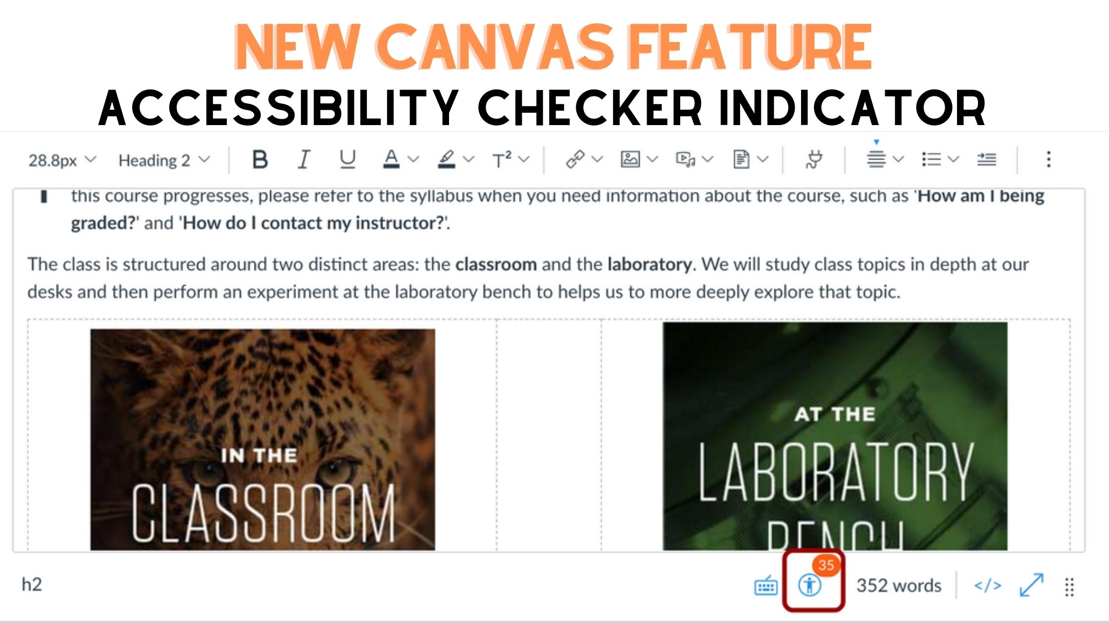 Canvas Accessibility Checker Indicator