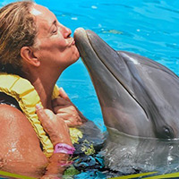 Faculty Staff Default Avatar