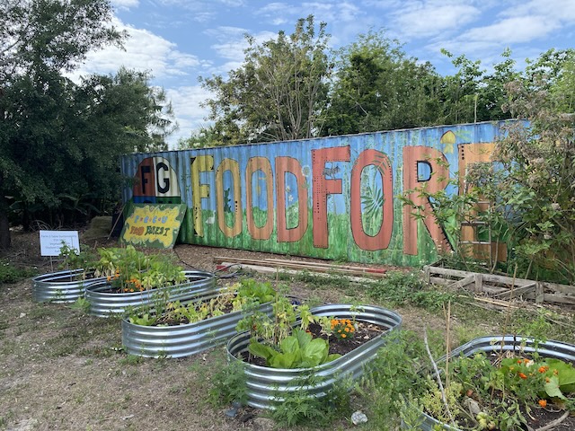 Discover FGCU’s Food Forest