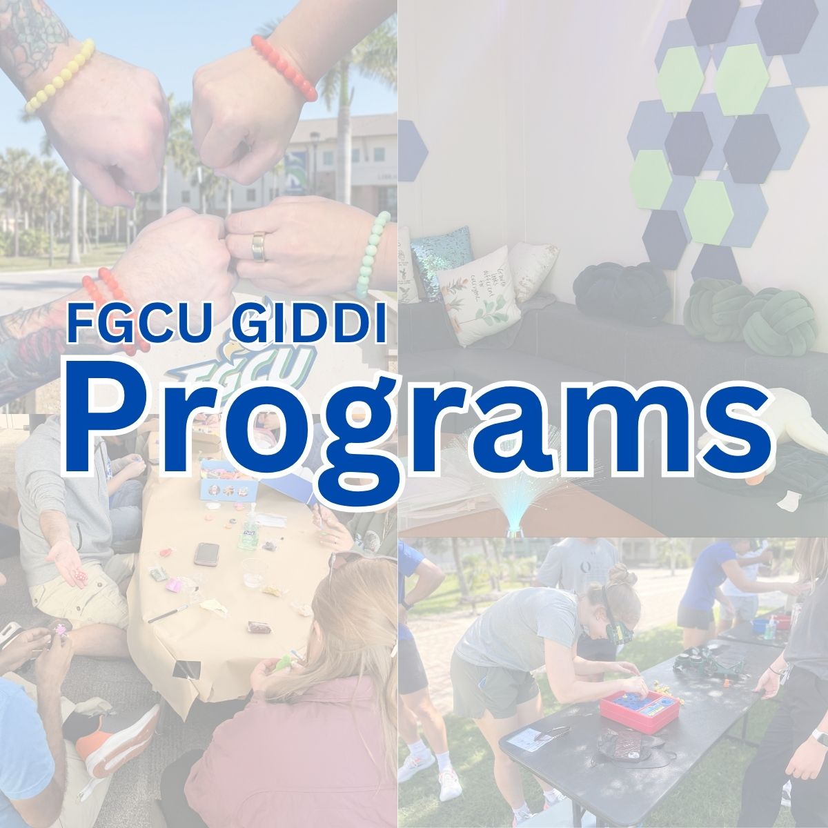 GIDDI's Programs