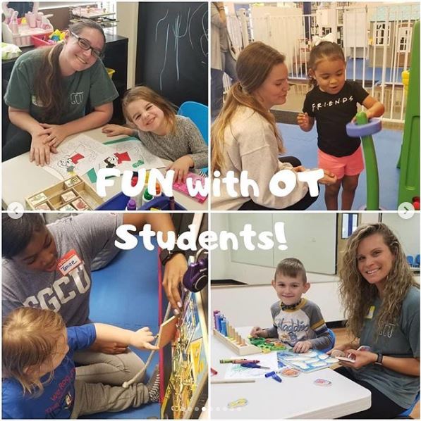The Department of Rehabilitation Science's Student Occupational Therapy ...
