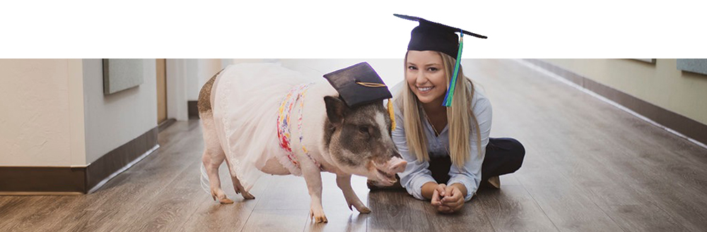 Makenzie Whitaker creator of the Kidney Kronicles and Olive the Pig Makenzie Whitaker creator of the Kidney Kronicles and Olive the Pig