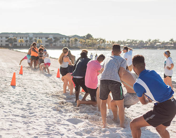 tug-o-war