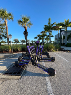Goat Scooters Lined Up at The Boardwalk